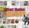 Gilbert Shelton Creador extraordinario del comix underground